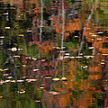 Messalonskee Reflection 1