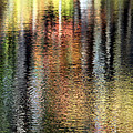Messalonskee Reflection 2