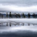 Coldstream Pond #1